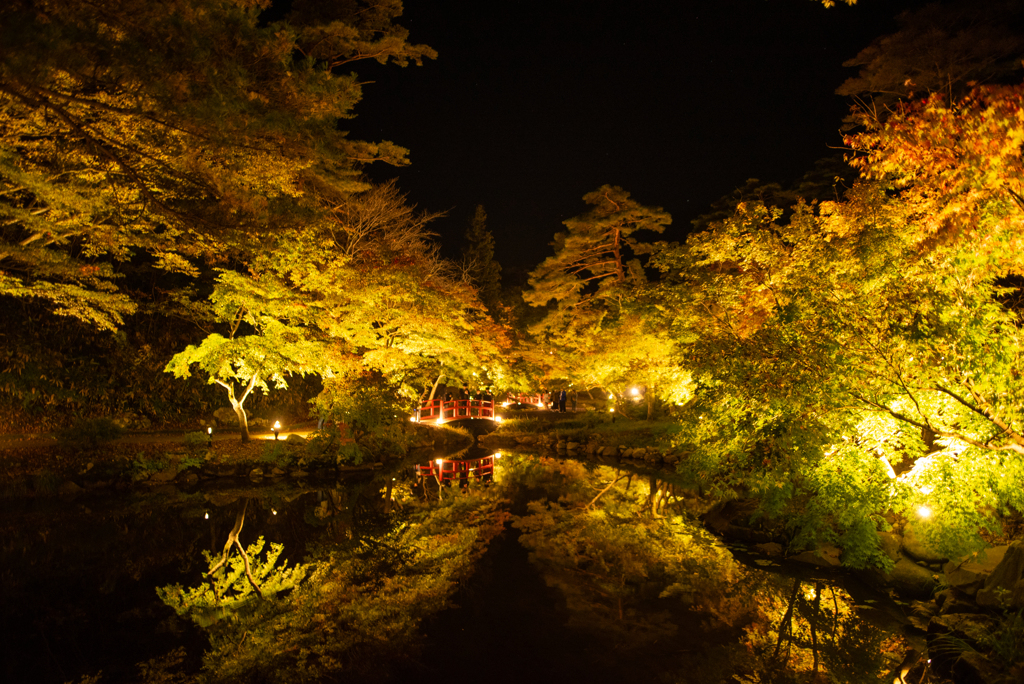 池の面