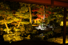 庭の紅葉