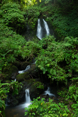 雌滝