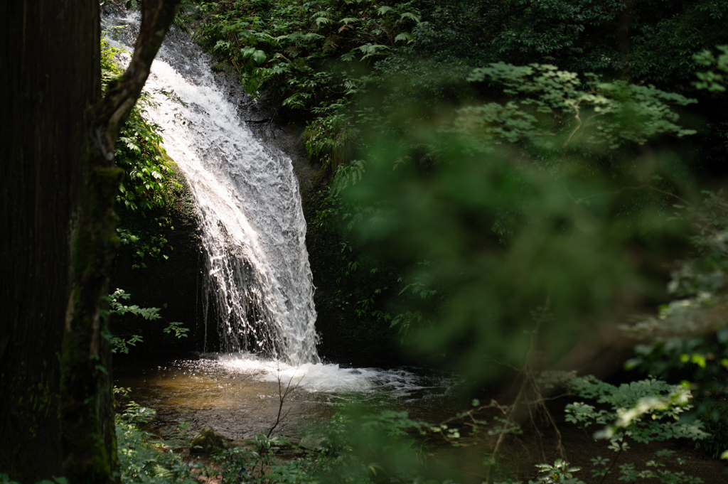 禊の滝
