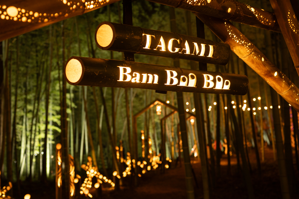 TAGAMI BamBooBoo