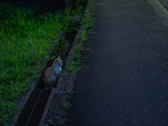 暑いよね