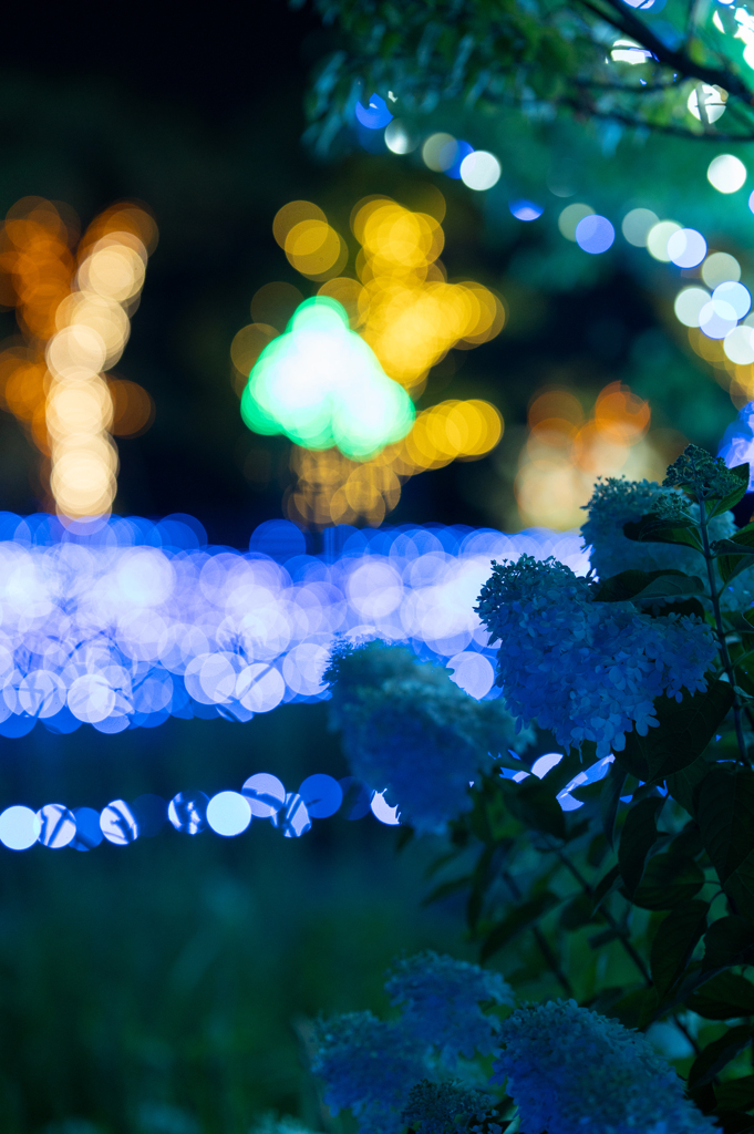 SUMMER ILLUMINATION 2024