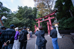 弥彦神社ライトアップ点灯式