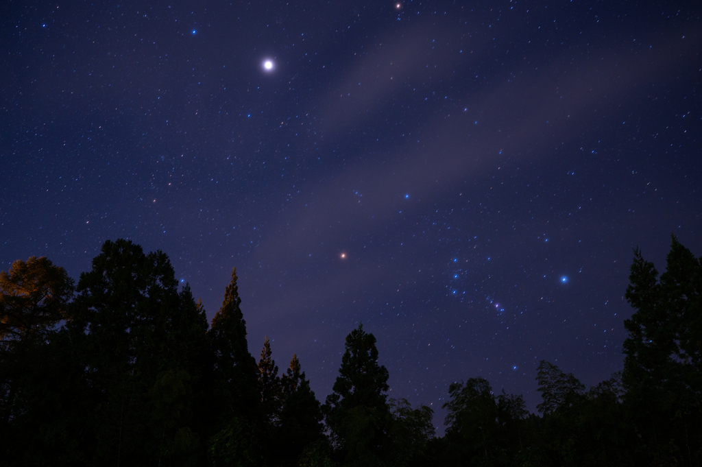 冬の星座の登場