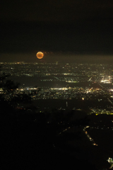 夜景に咲く華