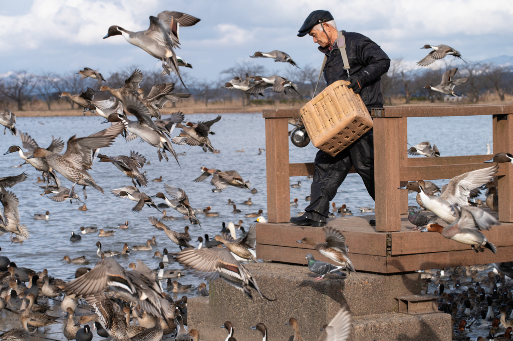白鳥おじさん