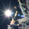 イマソラ