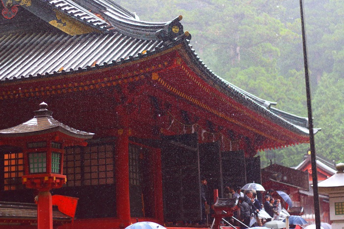 降りしきる雨の中