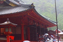 降りしきる雨の中