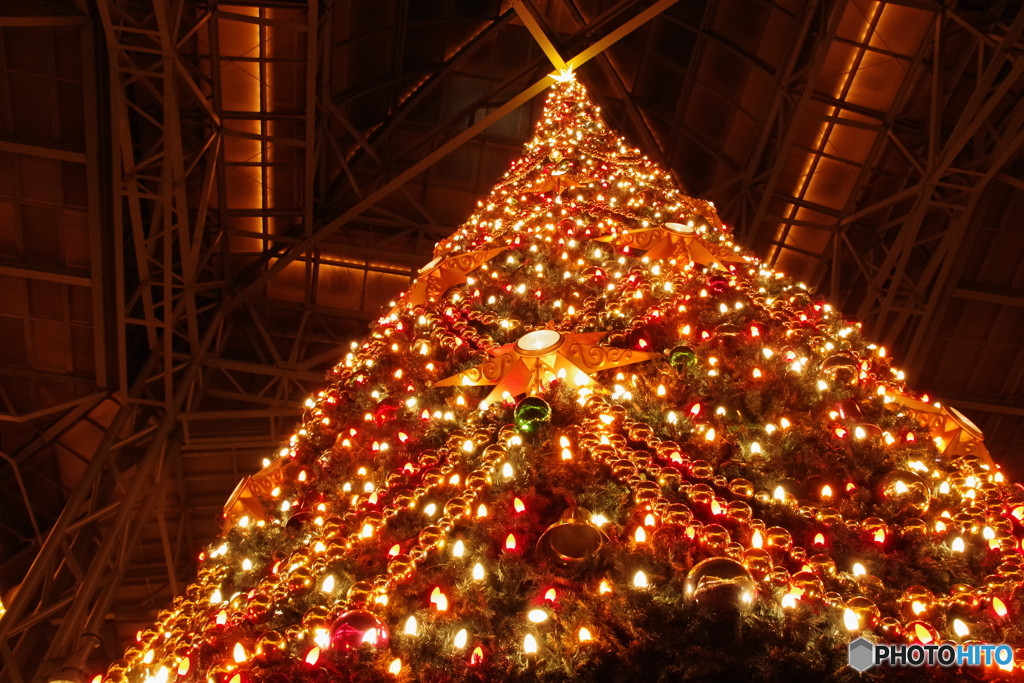 ディズニーランドのクリスマスツリー By くまたん Id 写真共有サイト Photohito