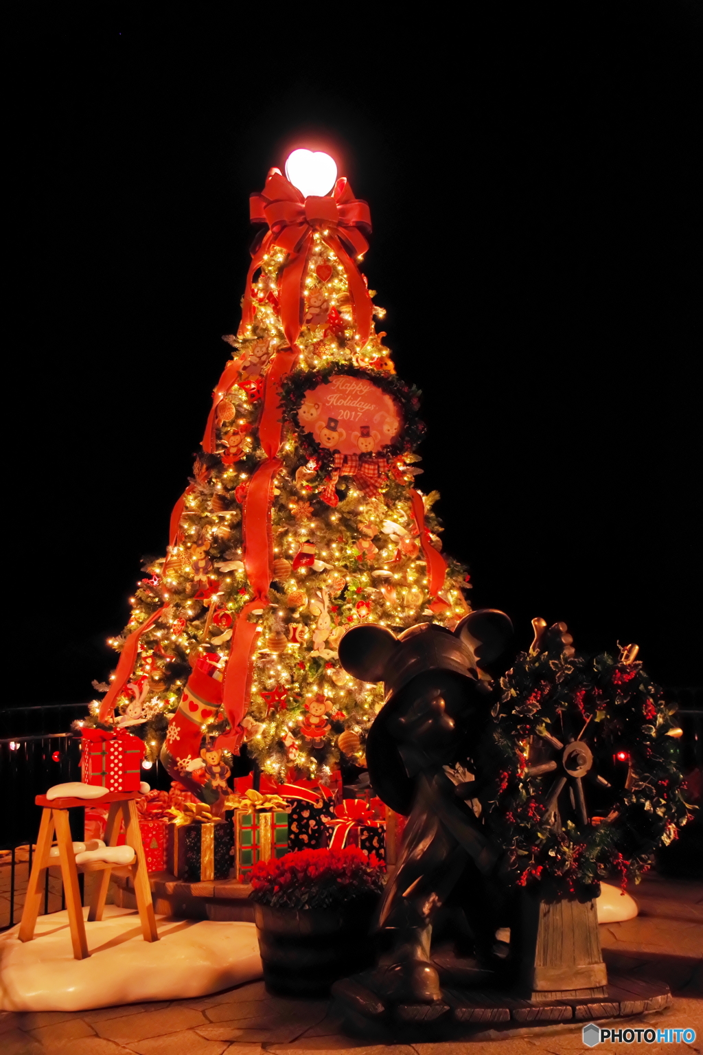 ケープコッドのクリスマスツリー