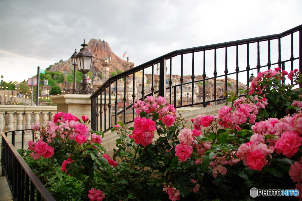 ディズニーシーの風景　6月