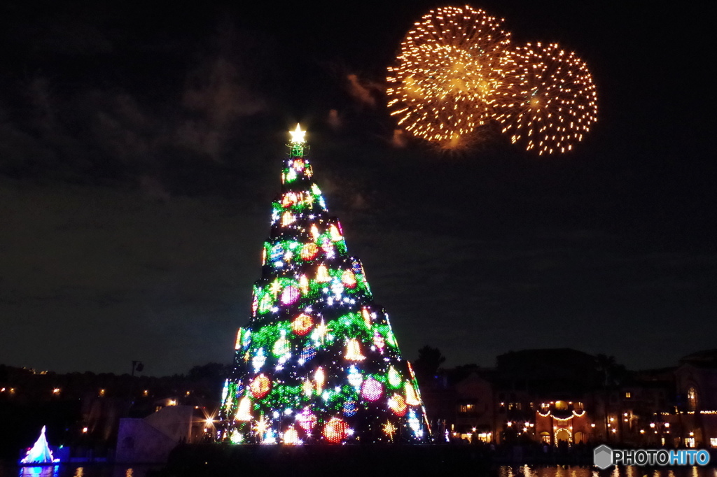 スターブライト・クリスマスとクリスマスツリー