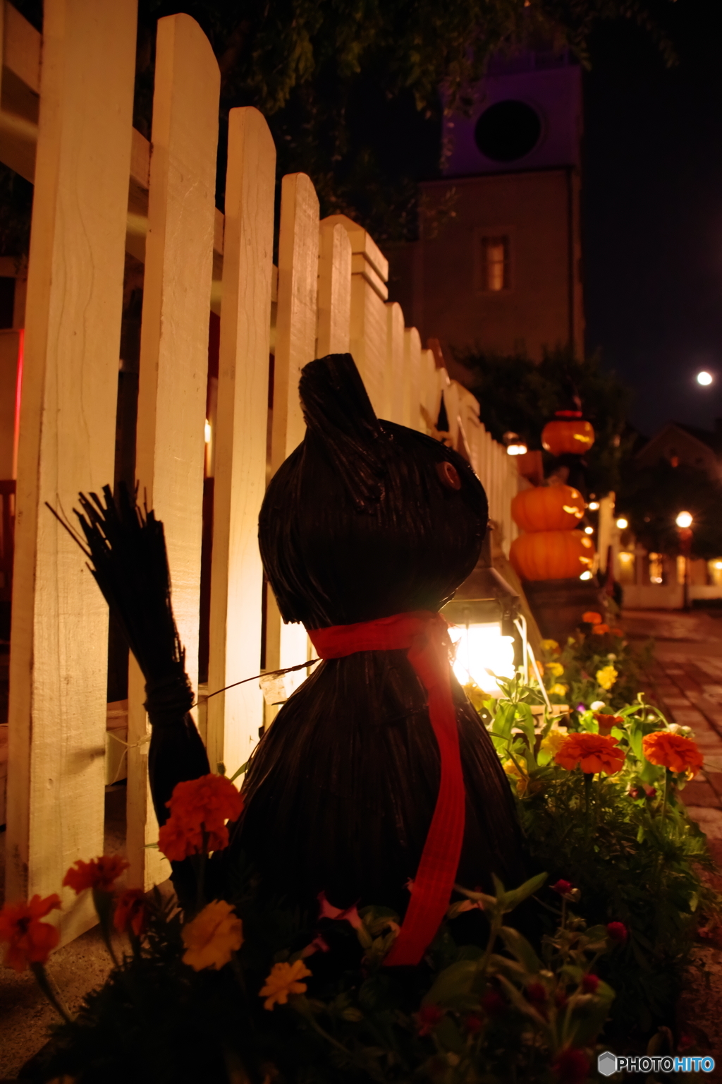 黒猫も待ってます(^O^)