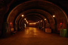 ディズニーシーの風景　トンネル