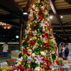 ディズニーのクリスマスツリー　リゾートライナー　ディズニーシー・ステーション