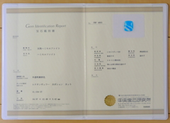 ヘミモルファイト鑑別書