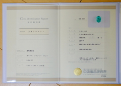 パライバトルマリン 0.394ct 鑑別書