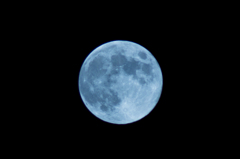 中秋の名月 -Blue Moon-