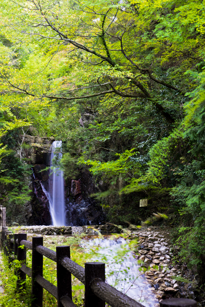 鼓が滝３　遠景