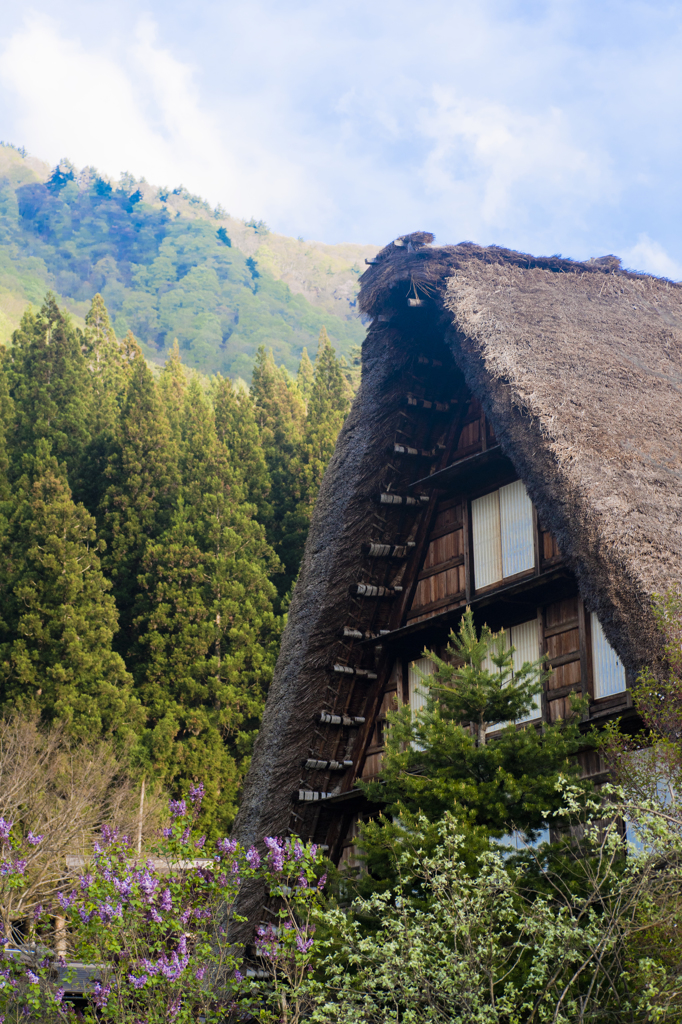 白川郷２