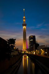 Sky Tree -Blue Moment-