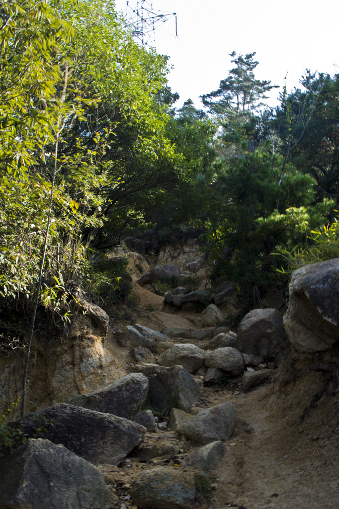 登山道