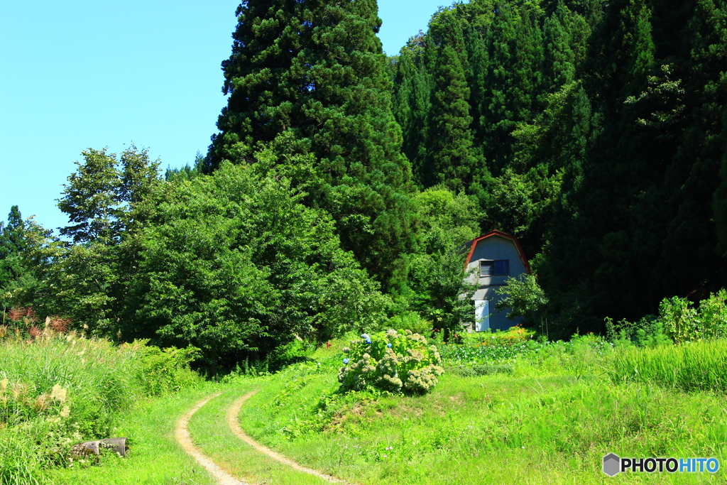 田舎