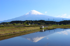 富士山士富