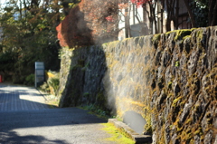 もくもく箱根
