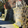 もくもく箱根