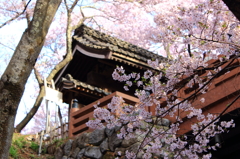 高遠城址公園３