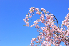 伊那