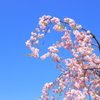 伊那