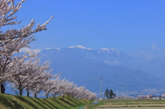 伊那３