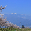 伊那３