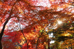 東山公園
