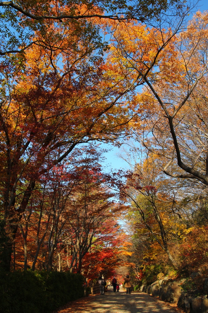 東山公園