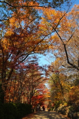 東山公園