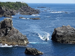 海金剛と樫野埼灯台