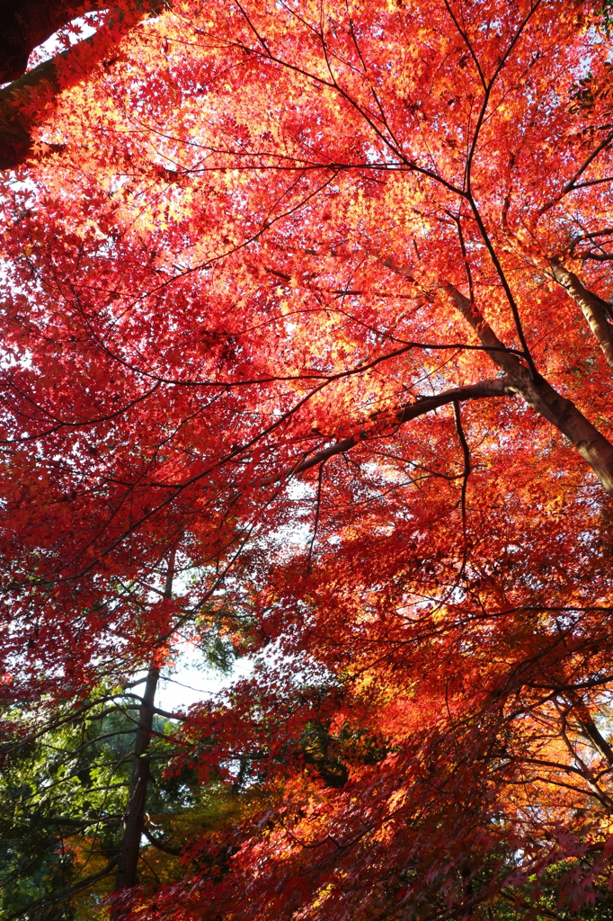 東山公園