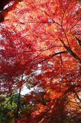 東山公園