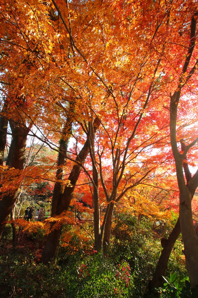 東山公園