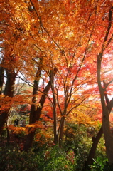 東山公園