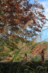 養老公園