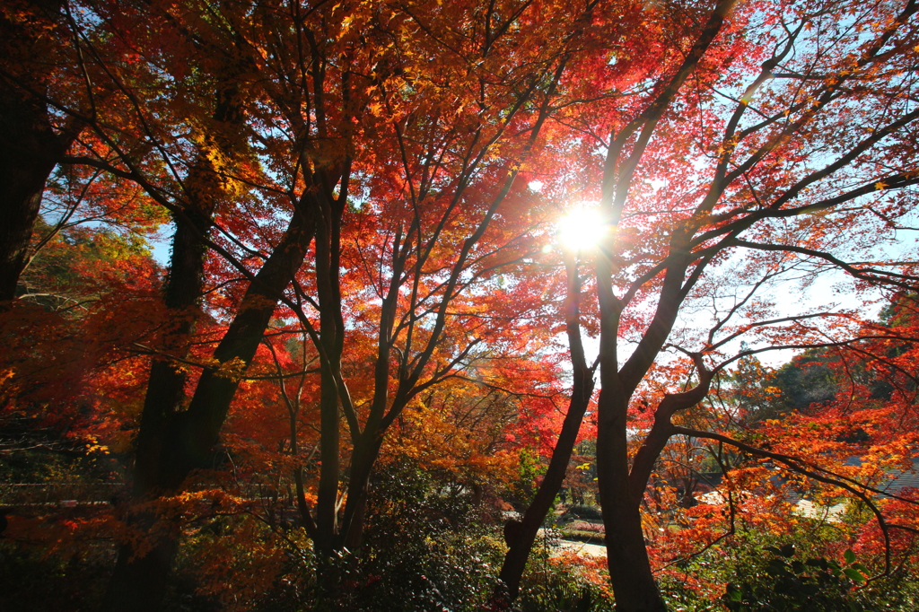 東山公園