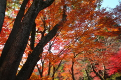 東山公園