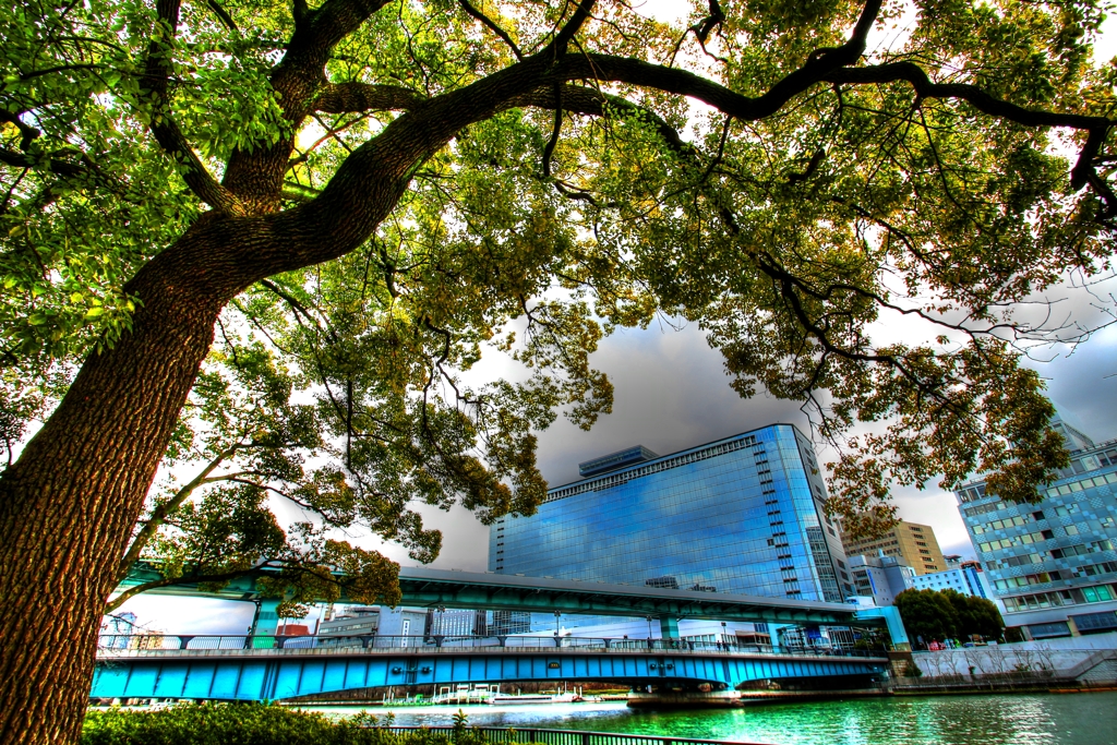 HDR