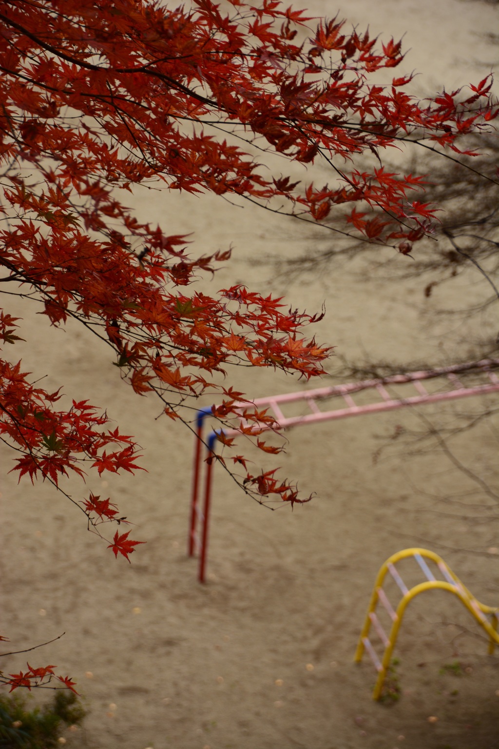 思い出の場所